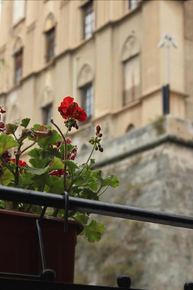 B&B "Al Bastione Normanno Palermo Eksteriør billede